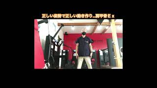 【浜松整体】正しい姿勢で正しい動き作り…肩甲骨Ｅｘ　#エクササイズ動画 #姿勢改善 #浜松市整体院