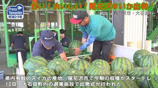 甘い！おいしい！尾花沢すいか出発　尾花沢市・大石田町