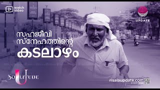 സഹജീവി സ്നേഹത്തിന്റെ കടലാഴം | SOLITUDE | AZEEZ CALICUT