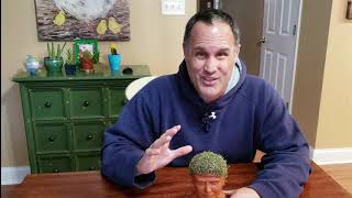 Chia Head- perennial rye grass part 2