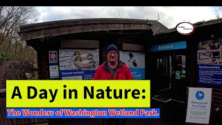 A Day in Nature: The Wonders of Washington Wetland Park.