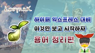 로스트아크 이것만 알고 시작하자[로아 용어정리편]