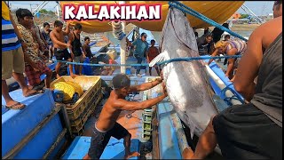 Kalakihan sa buong kasaysayan | Pacific Blue Fin Tuna