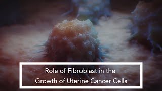 Role of Fibroblast in the Growth of Uterine Cancer Cells