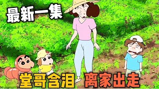 【蠟筆小新】最新一集！堂哥傷心的含淚離家出走，沒想到罪魁禍首竟是美伢#動漫解說 #二次元#shorts