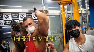 러시아 IFBB 피지크 프로가 알려주는 프로 한국에선 볼 수 없는 삼두 꿀팁 루틴