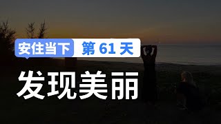 【安住当下DAY61】愿你有一双 发现美的眼睛｜10分钟冥想引导