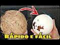 Como TIRAR A CASCA do coco seco em minutos