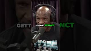 Joe Rogan Ancient Humans Who Encountered Different Species  Are We Next ? Mike Tyson