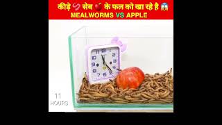 Apple🍎Experiment Video 🤯~ Mealworms Eating | @MR. INDIAN HACKER @Crazy XYZ #shorts #viral #ytshorts