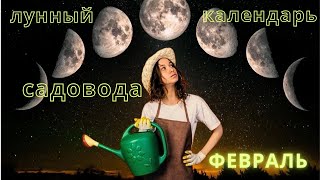 Благоприятные дни для посадки в феврале: Лунный календарь для БОГАТОГО урожая 2025!