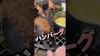 【福岡 城南区】焼肉のグリルで焼き増しするハンバーグがうますぎた「大衆焼肉 かまど屋」ハンバーグランチ