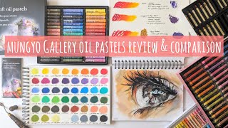 Mungyo Gallery Oil Pastel Swatch, Review, Painting & Comparison with Pentel, Paul Rubens & Sennelier