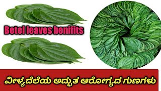 ವೀಳ್ಯದೆಲೆಯ ಆರೋಗ್ಯದ ಗುಣಗಳು // benefits of betel leaves