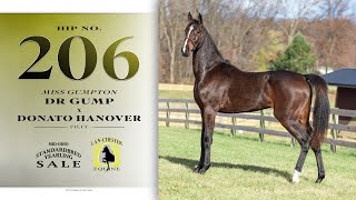 Dr Gump filly -  2024 Mid-Ohio Standardbred Yearling Auction lot 206