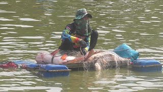 How to fishing หว่านแห จับปลา ຈັບປາ ປາໃຫຍ່ บ้านวังชมภู บ้านวังชมภู อ.กันทรลักษ์ จ.ศรีสะเกษ