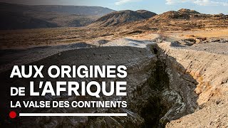 Aux origines de l'Afrique : le premier continent habité - La valse des continents - Documentaire HD