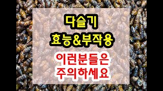 간에 좋은 다슬기 효능 \u0026 부작용 잘 알고 드셔야해요~