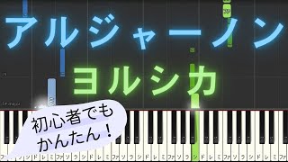 【簡単 ピアノ】 アルジャーノン / ヨルシカ - ドラマ「夕暮れに、手をつなぐ」 主題歌 【Piano Tutorial Easy】