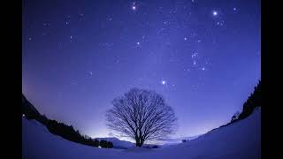 ⭐星の輝く雪原、天の川、冬の星空/Starry Snow Field⭐️