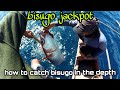 bisugo jackpot/ how to catch bisugo in the depth - k-do vlog