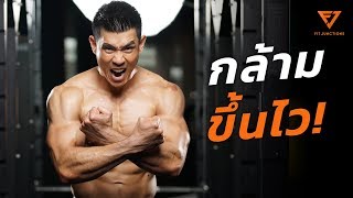 Hack ฮอร์โมนยังไงให้กล้ามขึ้นไว ไม่ต้องพึ่งตัวช่วย (Bulk Smart EP.2)