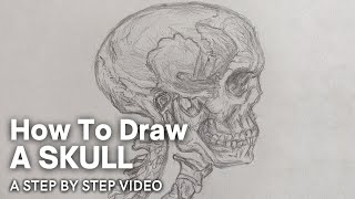 How to draw a skull - Easy for beginners - A step-by-step tutorial in 2024