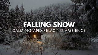Blizzard Snowfall & Arctic Howling Wind Sounds for Sleeping, Relaxing, study & Insomnia.