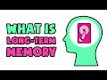 What is Long-Term Memory | Explained in 2 min