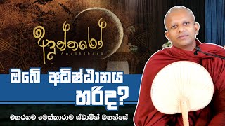 ඔබේ අධිෂ්ඨානය හරිද? | පූජ්‍ය මහරගම මෙත්තාරාම ස්වාමීන් වහන්සේගේ සද්ධර්ම දේශනාව