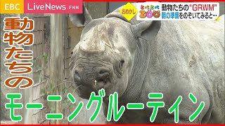 【とべとべZOO】動物たちの身支度をのぞき見！