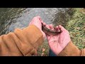 winter trout fishing in extremely cold weather catching trout w ultralight pole u0026 worms