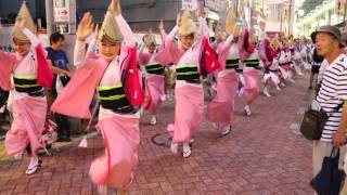 第58回東京高円寺阿波おどり（前夜祭）