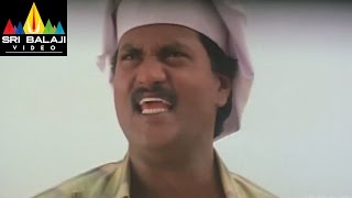 Pallakilo Pellikuthuru Movie Sunil Comedy Scene | Gowtham, Rathi | Sri Balaji Video