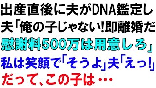 【スカっとする話】出産直後に夫がDNA鑑定し、夫「俺の子じゃない!即離婚だ。慰謝料500万は用意しろ」私は笑顔で「そうよ」夫「えっ!」だってこの子は