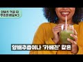 양배추는 제발 이렇게 드세요 안 그러면 건강 다 망칩니다 양배추와 먹으면 최악의 음식 vs 최고의 음식 best 3