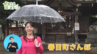 ねりまほっとライン（春日町さんぽ）令和４年11月前半号