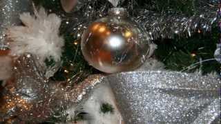 intratuinTer Aar kerst 2012 HD