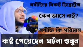 এই ওয়াজটি হেদায়াতের জন্য যতেষ্ট আশ্রাফি সাহেব