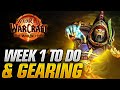 The War Within Week 1 To Do List & My Gearing Plan/Update!