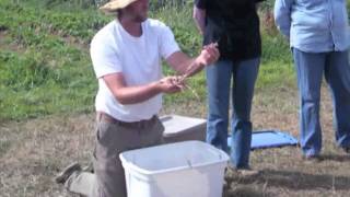 How to Harvest Grains on a Small Scale