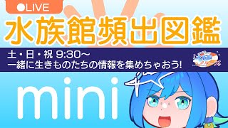 【朝活】水族館頻出図鑑☆水族館の金魚にも流行あるんじゃね！？＜朱文金・コメット編＞【日本列島水族館クルーズ】 #にたりん電波あり #個人勢VTuber