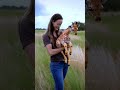 Family Reunites Baby Giraffe with Its Mother in Heartwarming Scene #trending #giraffe #rescue #help