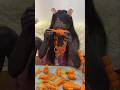 This Art Is Made of Carrots 😨
