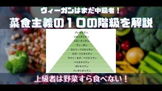 【雑学】ヴィーガンはまだ中級者！菜食主義の１０の階級をざっくりと解説【ベジタリアン・ブレサリアン...】