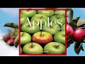 🍏  Apples for Everyone Read Aloud Children's Book