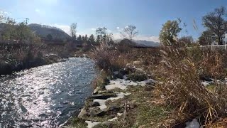 雪がある市街地の川は釣れるのか検証してみた