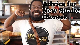 Advice For New Snake Owners | Things I wish I Knew