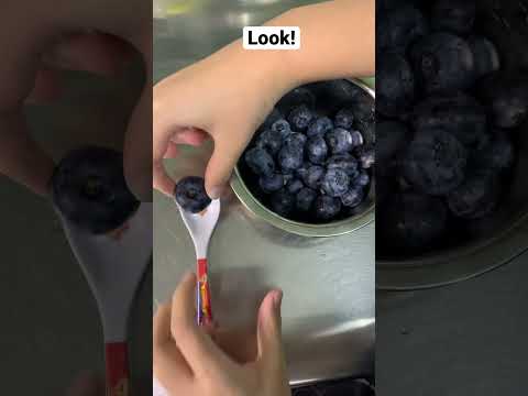 The World’s Largest Blueberry - YouTube