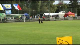 Rottweiler World Championship 2009 Obedience